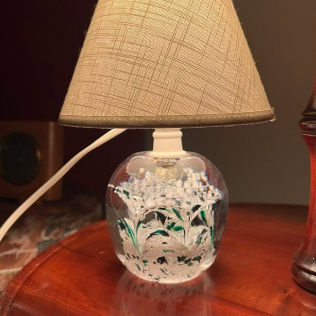 422062665_1345162419699862_3782161944462774688_n.jpg 422062665_1345162419699862_3782161944462774688_n.jpg