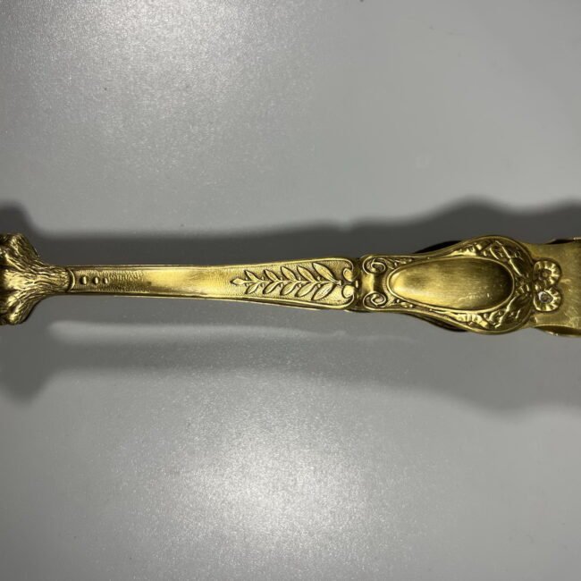 434726007_427700239898713_4847564433338801577_n.jpg 434726007_427700239898713_4847564433338801577_n.jpg