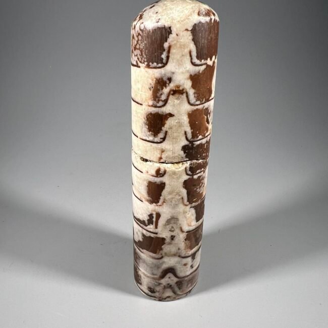 434877456_1113169986554592_5097044169611851162_n.jpg 434877456_1113169986554592_5097044169611851162_n.jpg