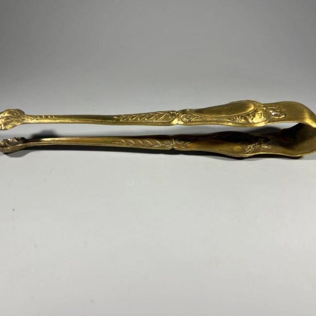 434887764_356991610107603_4234462887479860741_n.jpg 434887764_356991610107603_4234462887479860741_n.jpg