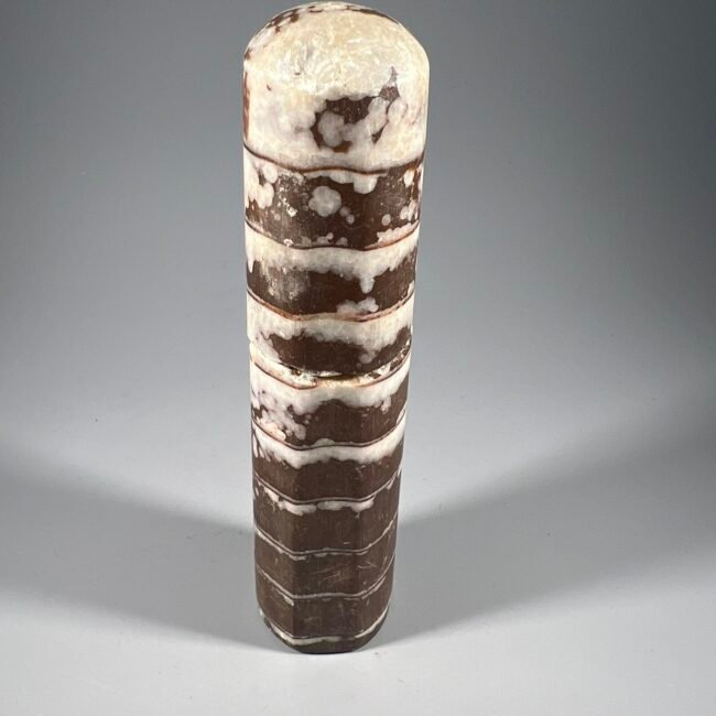 437266225_969564444736661_3865274167799810696_n.jpg 437266225_969564444736661_3865274167799810696_n.jpg