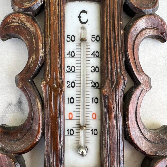 437369961_392843953661521_4456059617265043623_n.jpg 437369961_392843953661521_4456059617265043623_n.jpg