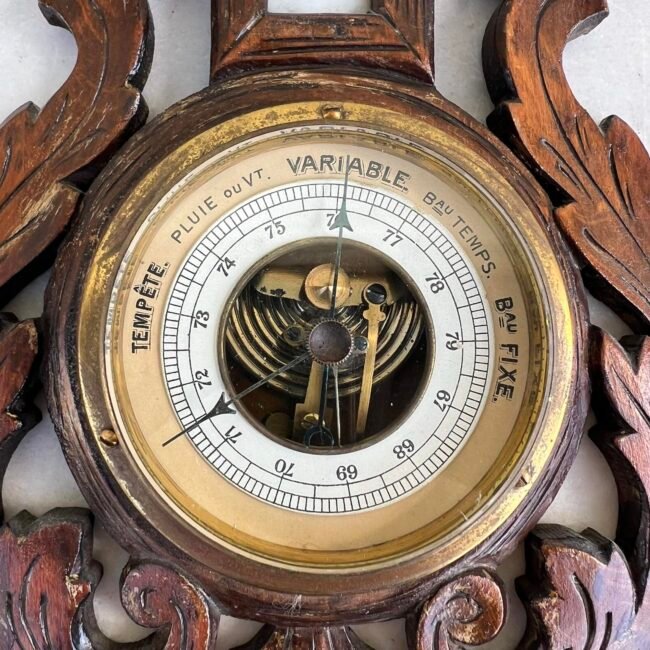 437714053_920665813171283_7973566539324803628_n.jpg 437714053_920665813171283_7973566539324803628_n.jpg