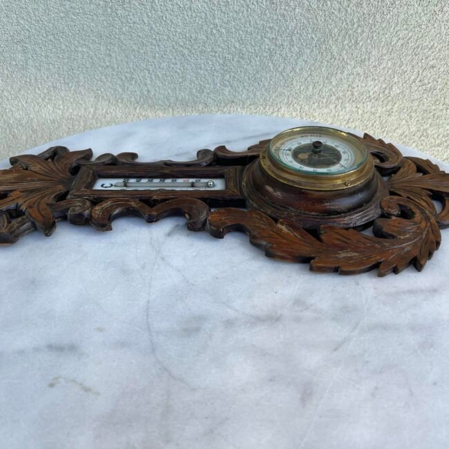 440414747_1181698223207153_4177433369236109378_n.jpg 440414747_1181698223207153_4177433369236109378_n.jpg