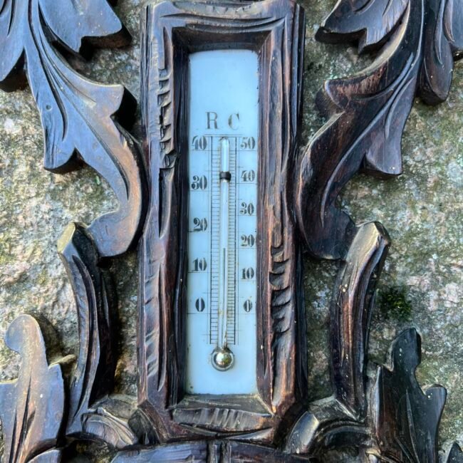 441242645_1124295528685103_7048990484094716627_n.jpg 441242645_1124295528685103_7048990484094716627_n.jpg