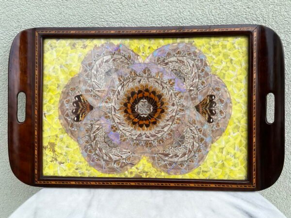 Padėklas antikvarinis, Art Deco stiliaus, tarpukario laikų, pagamintas iš drugelių sparnų. Brazilija. Didelis: 62 x 38 cm. Kaina 187