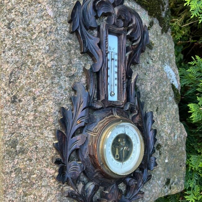 442513760_786333203563576_7151759972717020906_n.jpg 442513760_786333203563576_7151759972717020906_n.jpg