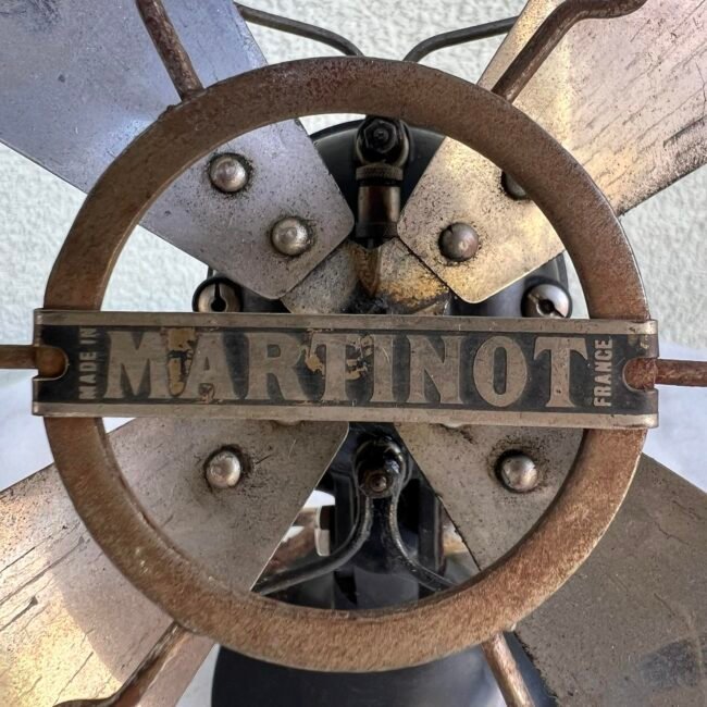 445687575_3779850932230196_7344837998661198921_n.jpg