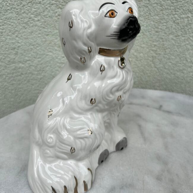 448431802_1166906891117205_5381723437434702347_n.jpg 448431802_1166906891117205_5381723437434702347_n.jpg