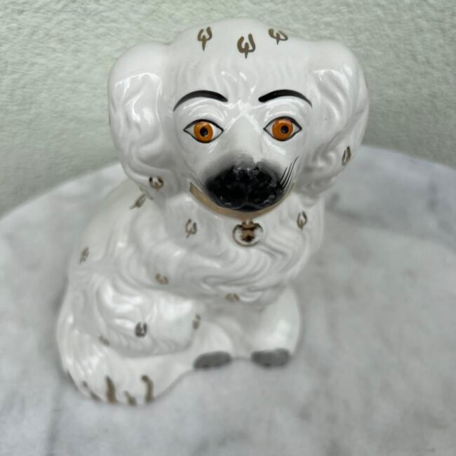 448467767_7623196824384778_4992605200372129366_n.jpg 448467767_7623196824384778_4992605200372129366_n.jpg