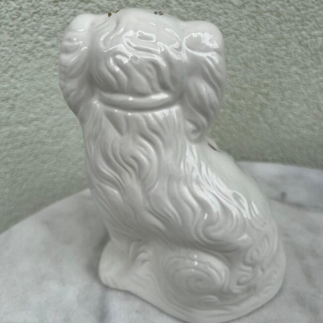 448526947_811880297602109_3753415730393922488_n.jpg 448526947_811880297602109_3753415730393922488_n.jpg