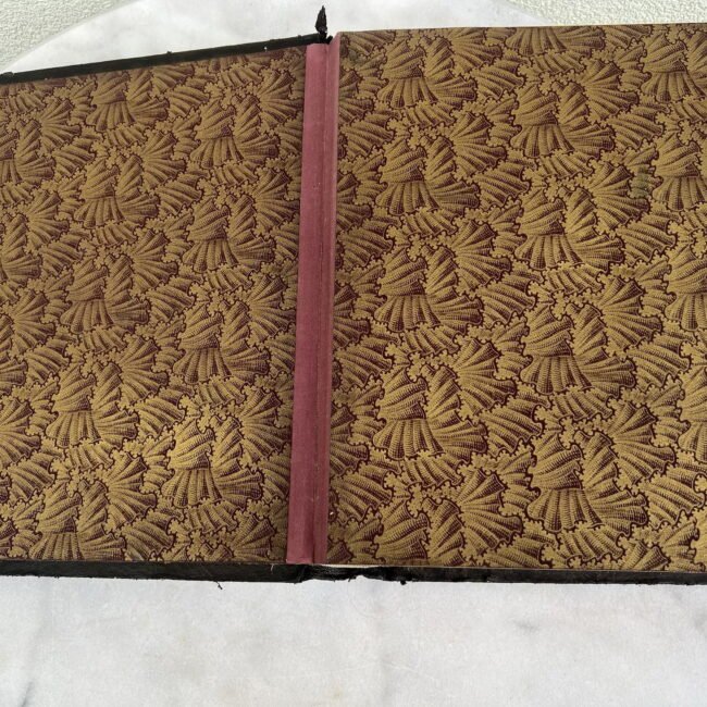 448912890_1196923438326172_4206465185887953439_n.jpg 448912890_1196923438326172_4206465185887953439_n.jpg