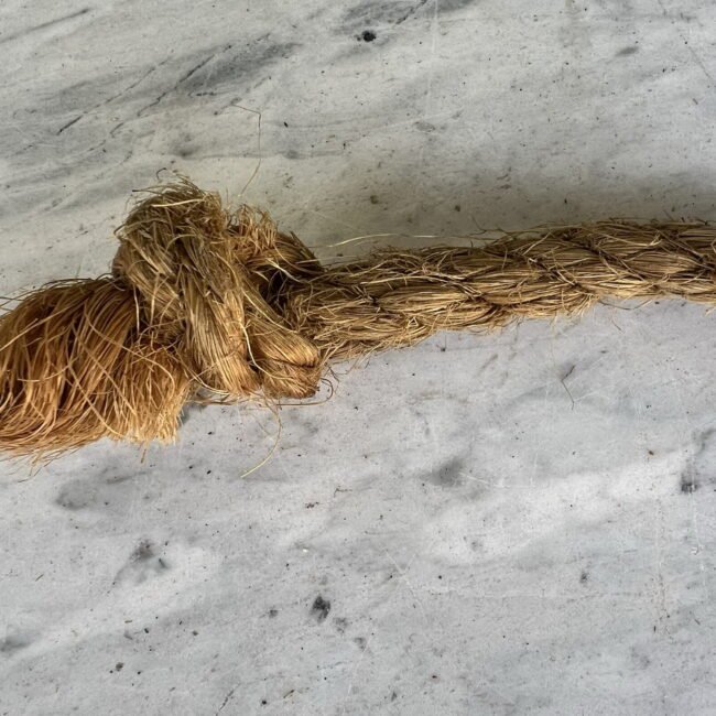 453345499_1072650517525250_2937210367620650031_n.jpg 453345499_1072650517525250_2937210367620650031_n.jpg