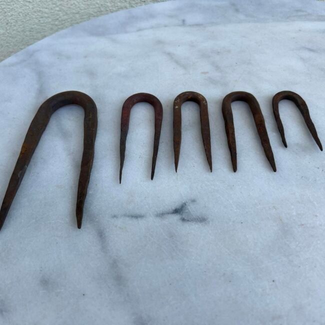 453349332_3901840810044075_5780631781406650607_n.jpg 453349332_3901840810044075_5780631781406650607_n.jpg