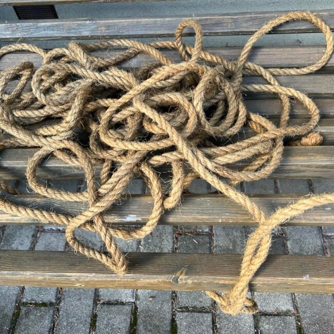 453603477_884929916822057_776791749150225100_n.jpg 453603477_884929916822057_776791749150225100_n.jpg