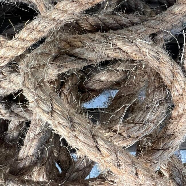 454574548_1062099385528494_116189642322628121_n.jpg 454574548_1062099385528494_116189642322628121_n.jpg