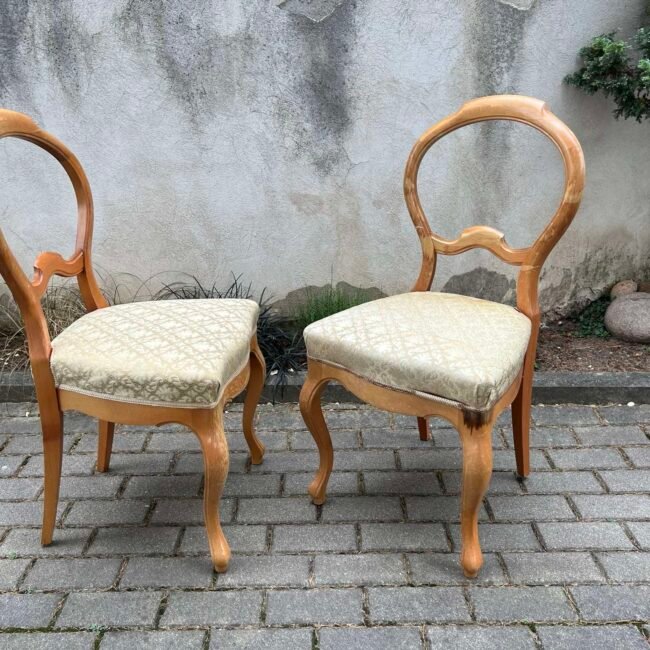 460039027_1517777665531296_1029908735513193091_n.jpg 460039027_1517777665531296_1029908735513193091_n.jpg