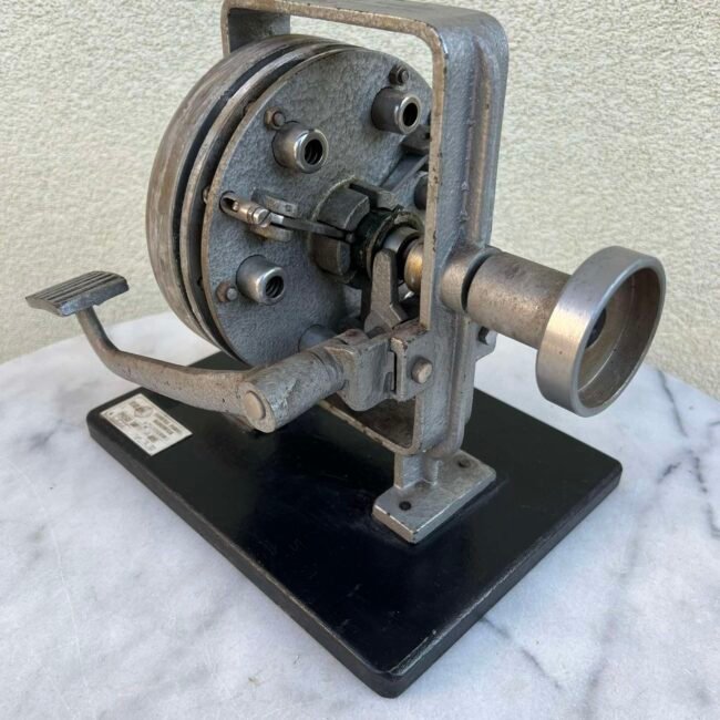 462567058_561955702963558_8362503979204081740_n.jpg