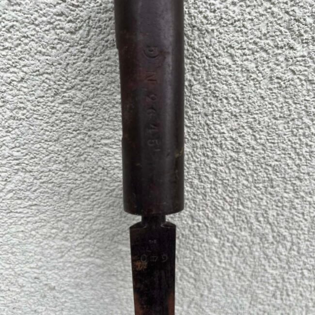 462578687_1069004558252639_6473255074487717172_n.jpg 462578687_1069004558252639_6473255074487717172_n.jpg