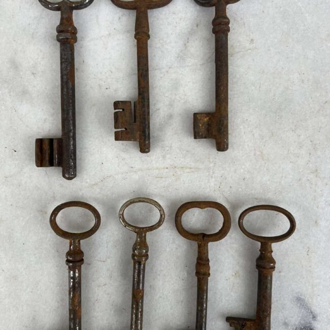 462583593_596639236223496_5402856488075784588_n.jpg 462583593_596639236223496_5402856488075784588_n.jpg