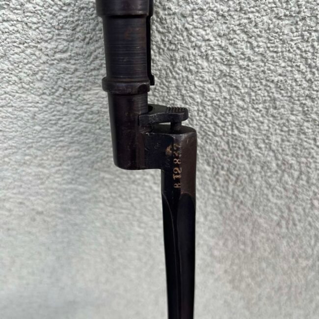 467480256_2004420433391222_4258014067994780975_n.jpg 467480256_2004420433391222_4258014067994780975_n.jpg