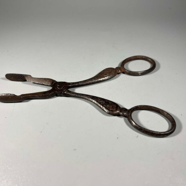 472261807_2120138351779854_8839829087447028278_n.jpg 472261807_2120138351779854_8839829087447028278_n.jpg