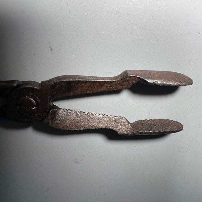 472574064_1888617868654435_196950868868257594_n.jpg 472574064_1888617868654435_196950868868257594_n.jpg