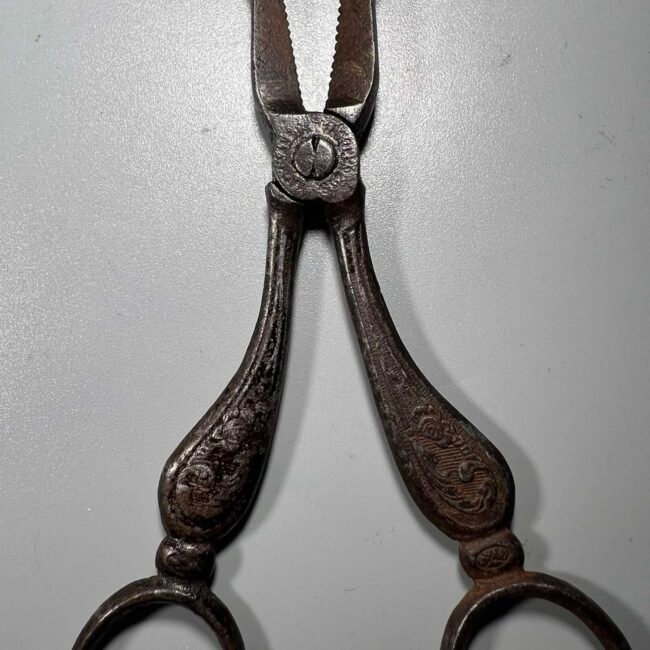 473833646_1612405502795311_8060228132160590472_n.jpg 473833646_1612405502795311_8060228132160590472_n.jpg