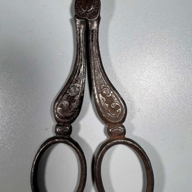 474267660_598092376305124_1401746491170361233_n.jpg 474267660_598092376305124_1401746491170361233_n.jpg