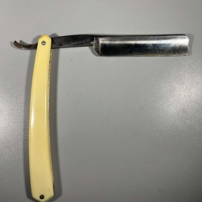 475754921_1346920376442138_2540796865339167387_n.jpg 475754921_1346920376442138_2540796865339167387_n.jpg