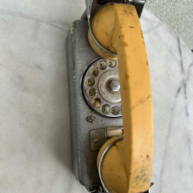 482898822_1999555247121523_7934106081590706600_n.jpg 482898822_1999555247121523_7934106081590706600_n.jpg