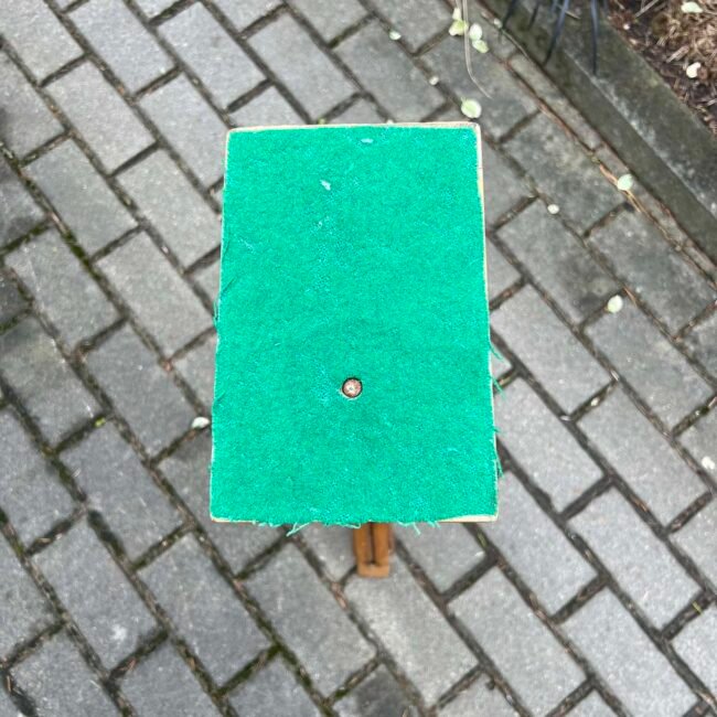 484698937_1031136265547472_8234988936598695036_n.jpg 484698937_1031136265547472_8234988936598695036_n.jpg