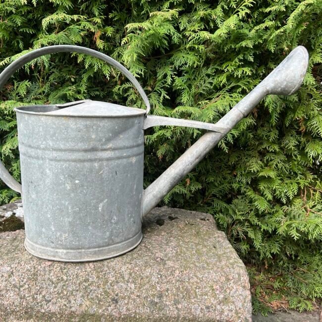 489445214_1852050772262612_9068979757809443034_n.jpg 489445214_1852050772262612_9068979757809443034_n.jpg