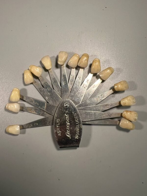 Dantų spalvų paletė (atspalvių rinkinys), antikvarinė, odontologinė, vokiška ZAHNFABRIK BAD NAUHEIM K.G. BAD NAUHEIM/GERMANY. 1950-1970 m. Kaina 48