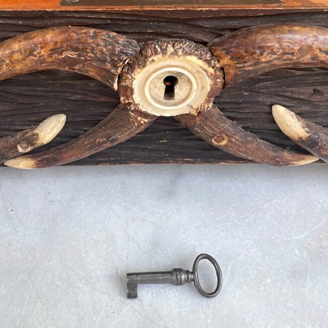 Dezute-skrynele-medziokles-tema-elnio-ragu-191020m.207.jpg Dezute-skrynele-medziokles-tema-elnio-ragu-191020m.207.jpg