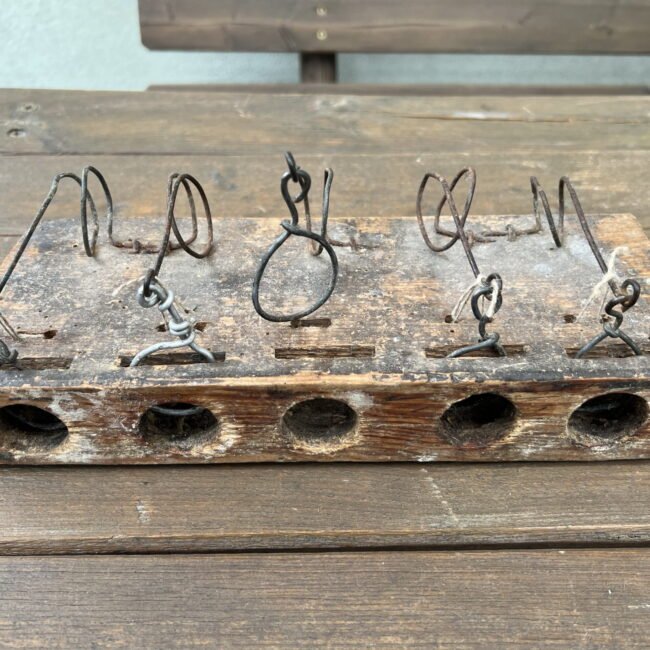 IMG_0276w.jpg IMG_0276w.jpg