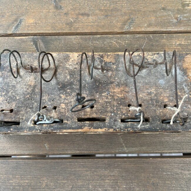 IMG_0277s.jpg IMG_0277s.jpg