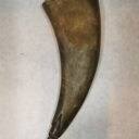 IMG_20201215_082351.jpg