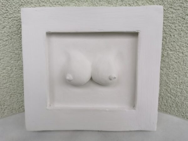 Bareljefas gipsinis Krūtys. Nicole Vider. Kaina 21