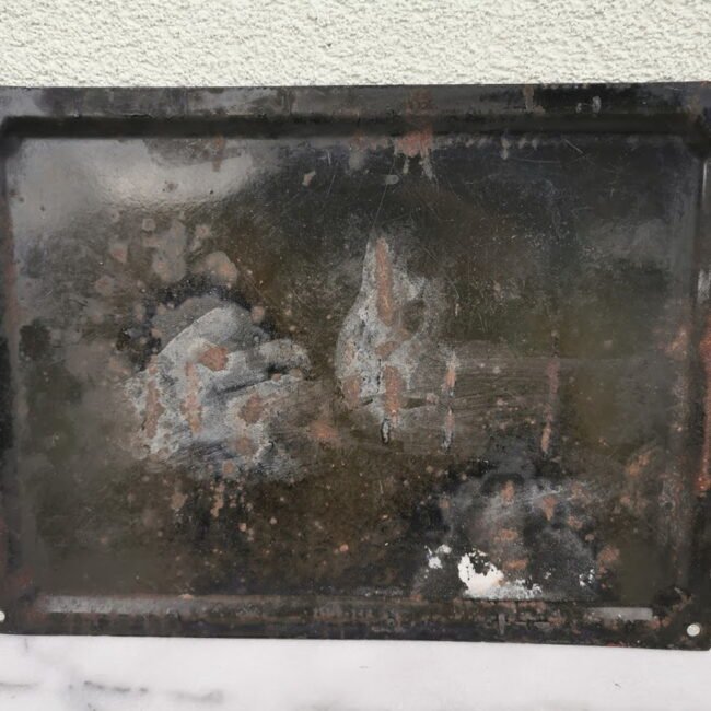 IMG_20210424_145924.jpg IMG_20210424_145924.jpg