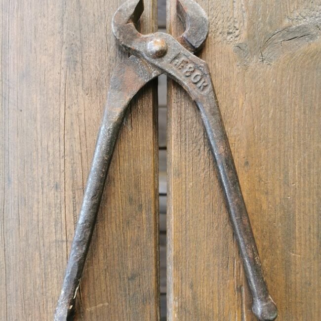 IMG_20210512_160140.jpg IMG_20210512_160140.jpg