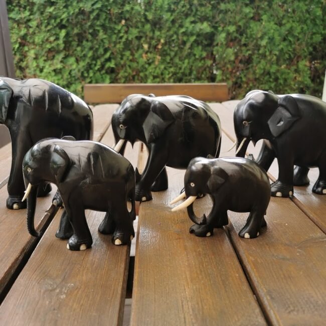 IMG_20210615_135958.jpg IMG_20210615_135958.jpg