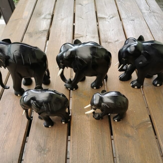 IMG_20210615_140001.jpg IMG_20210615_140001.jpg