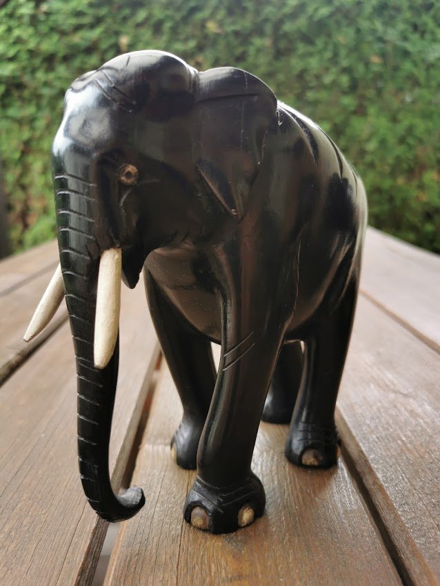 IMG_20210615_140050.jpg IMG_20210615_140050.jpg