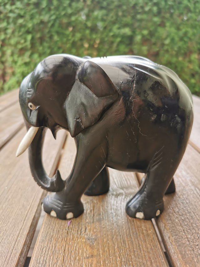 IMG_20210615_140104.jpg IMG_20210615_140104.jpg