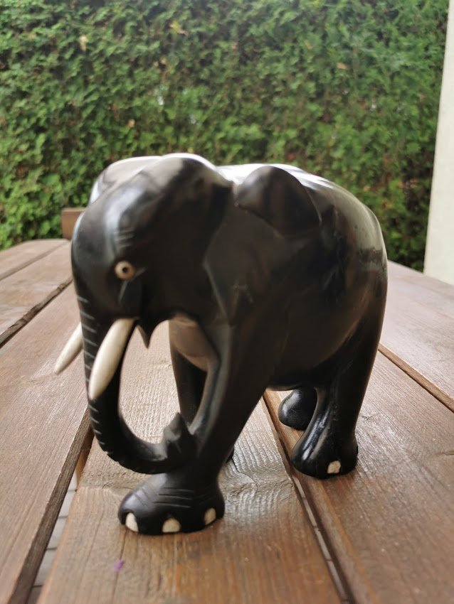 IMG_20210615_140116.jpg IMG_20210615_140116.jpg