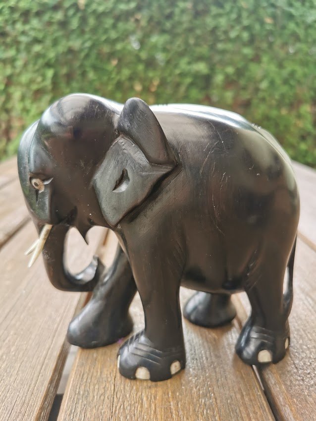 IMG_20210615_140131.jpg IMG_20210615_140131.jpg