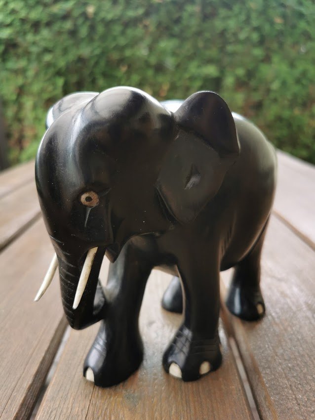 IMG_20210615_140151.jpg IMG_20210615_140151.jpg