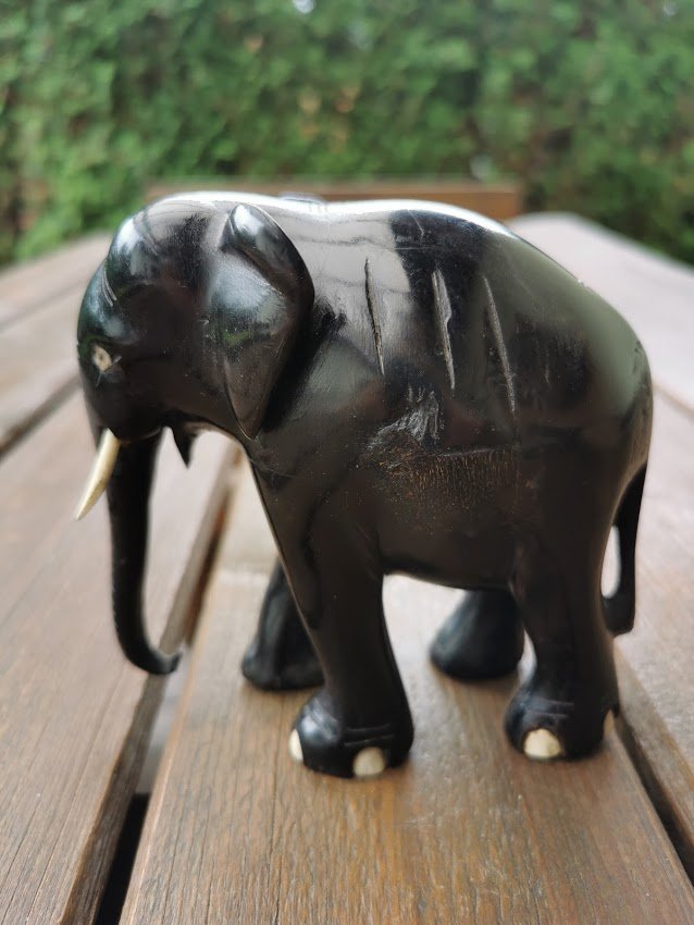 IMG_20210615_140203.jpg IMG_20210615_140203.jpg