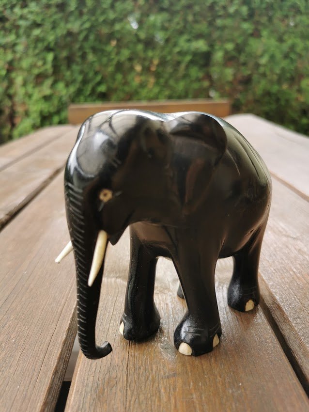 IMG_20210615_140211.jpg IMG_20210615_140211.jpg